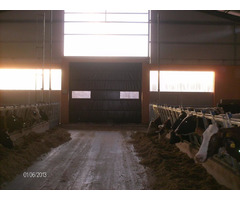 Automated Sidewalls Walls For Dairy Farms - Image 1/6