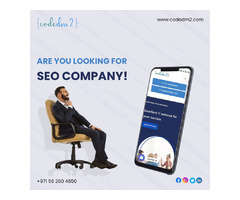 Are You Looking for SEO Company? – Codedm2.com