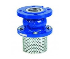 FOOT VALVES IN KOLKATA